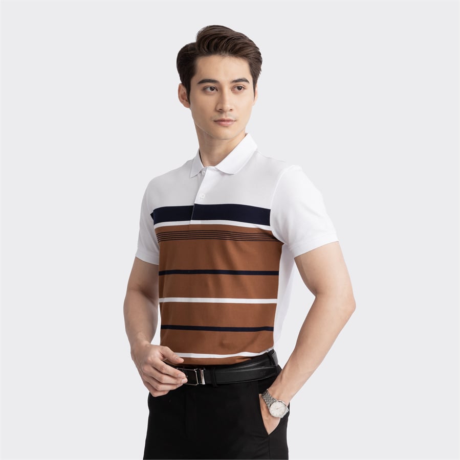 Brown 116 striped