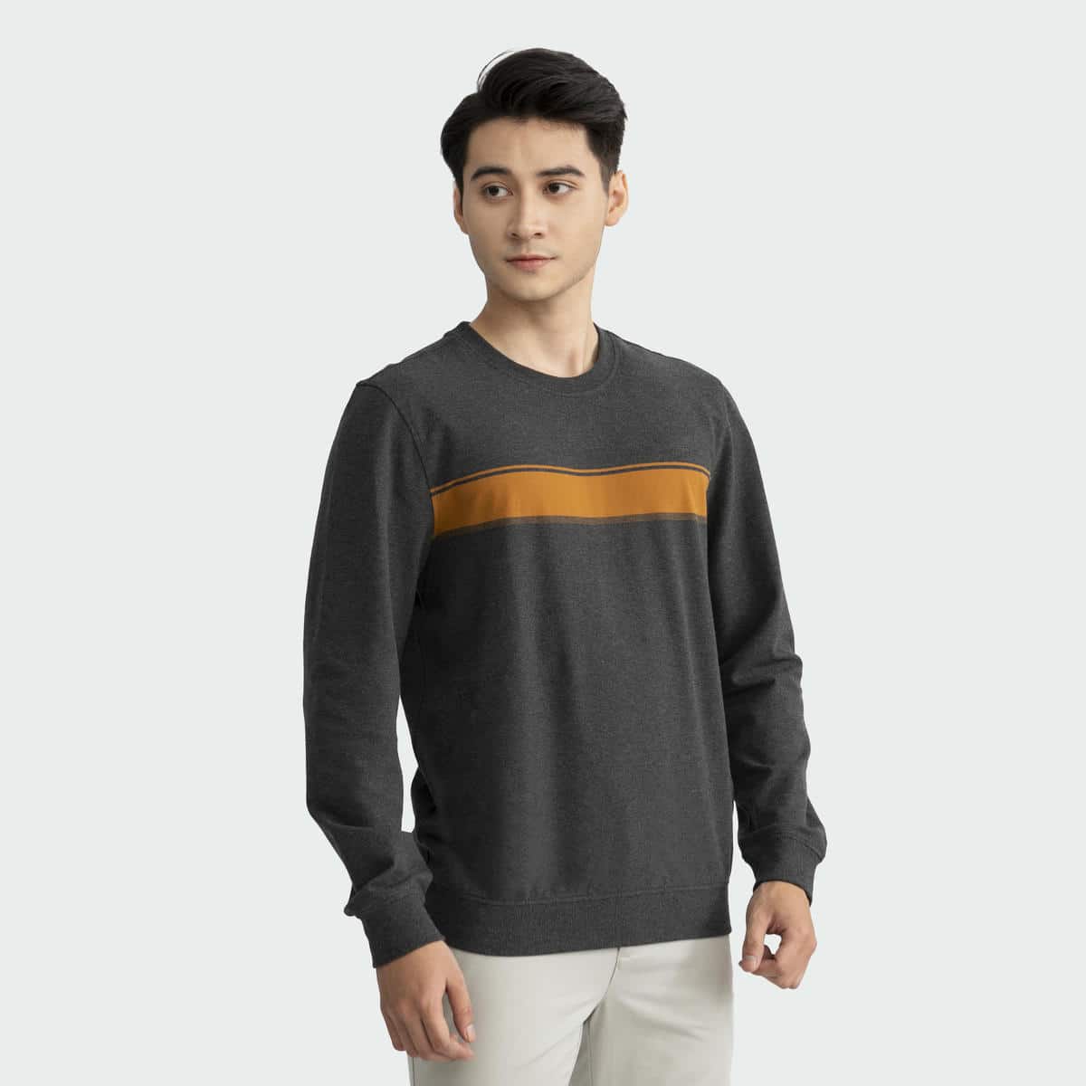 Gray 103 striped