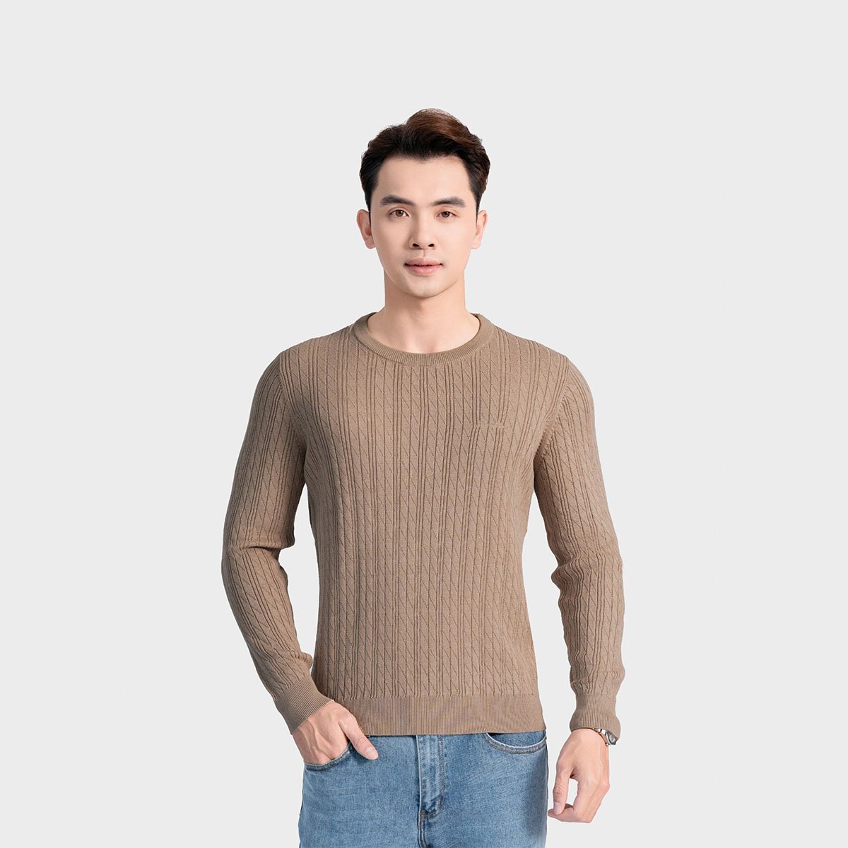 Beige 74 Jacquard pattern