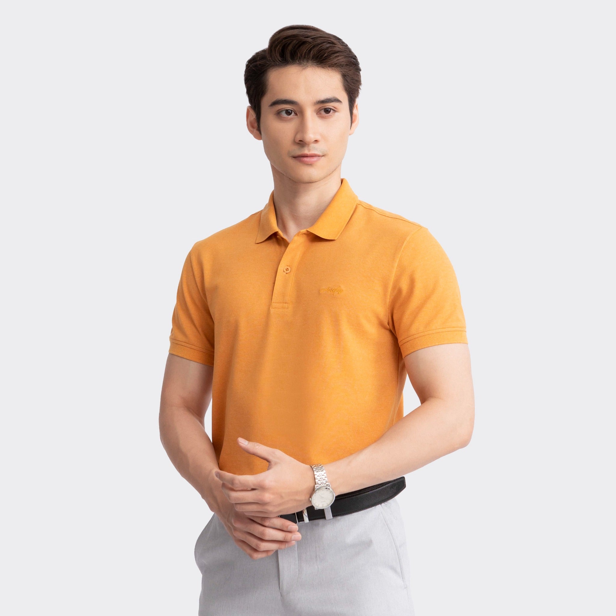 Aristino Men’s Cotton Polo Shirt Slim Fit APSR11