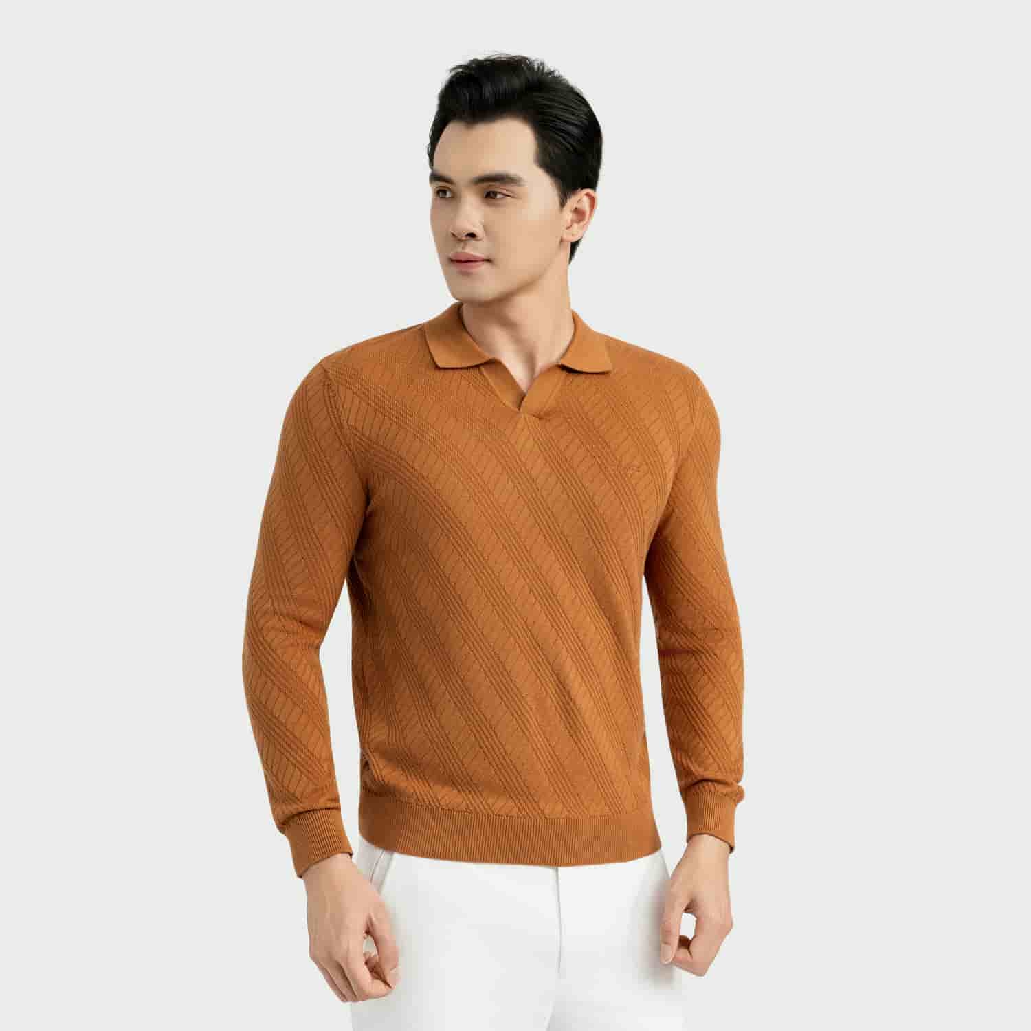 Brown 202 Jacquard pattern