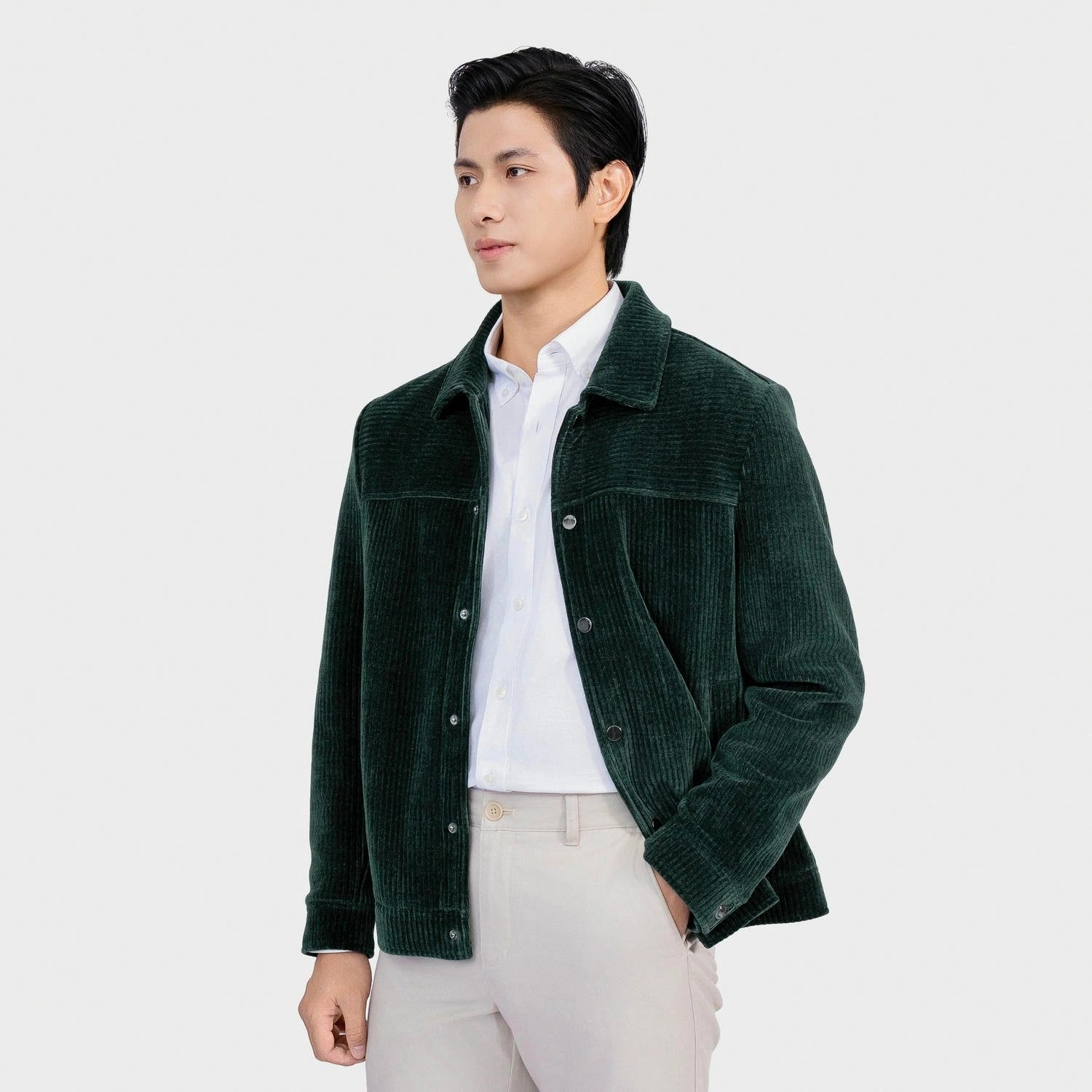 Olive 19 striped Jacquard