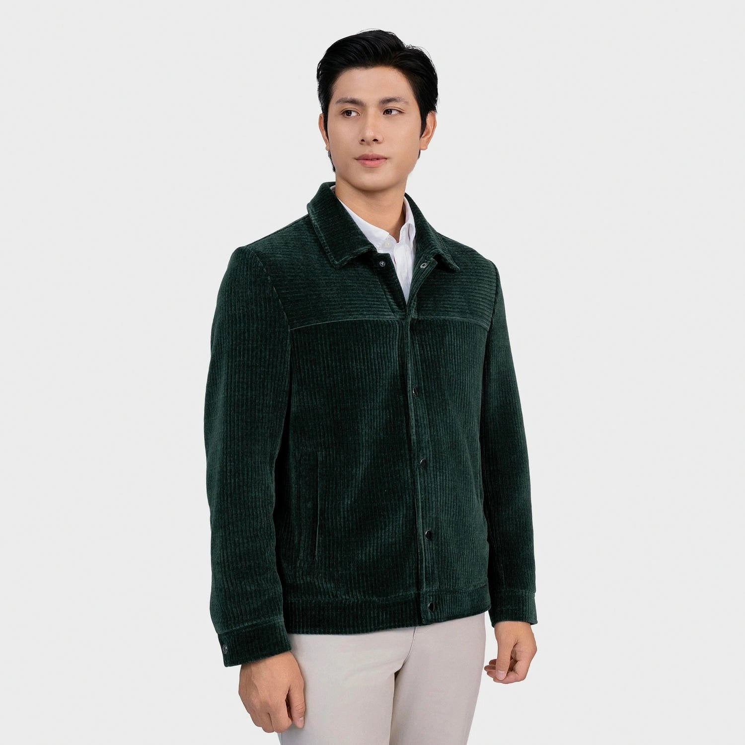 Olive 19 striped Jacquard