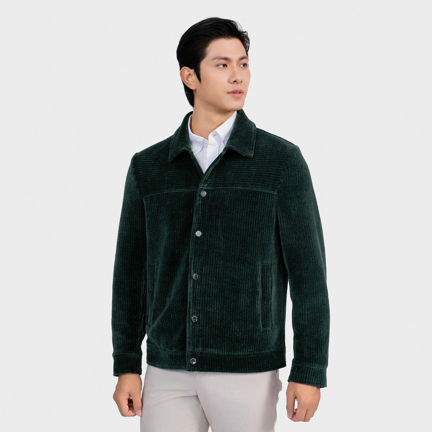 Olive 19 striped Jacquard