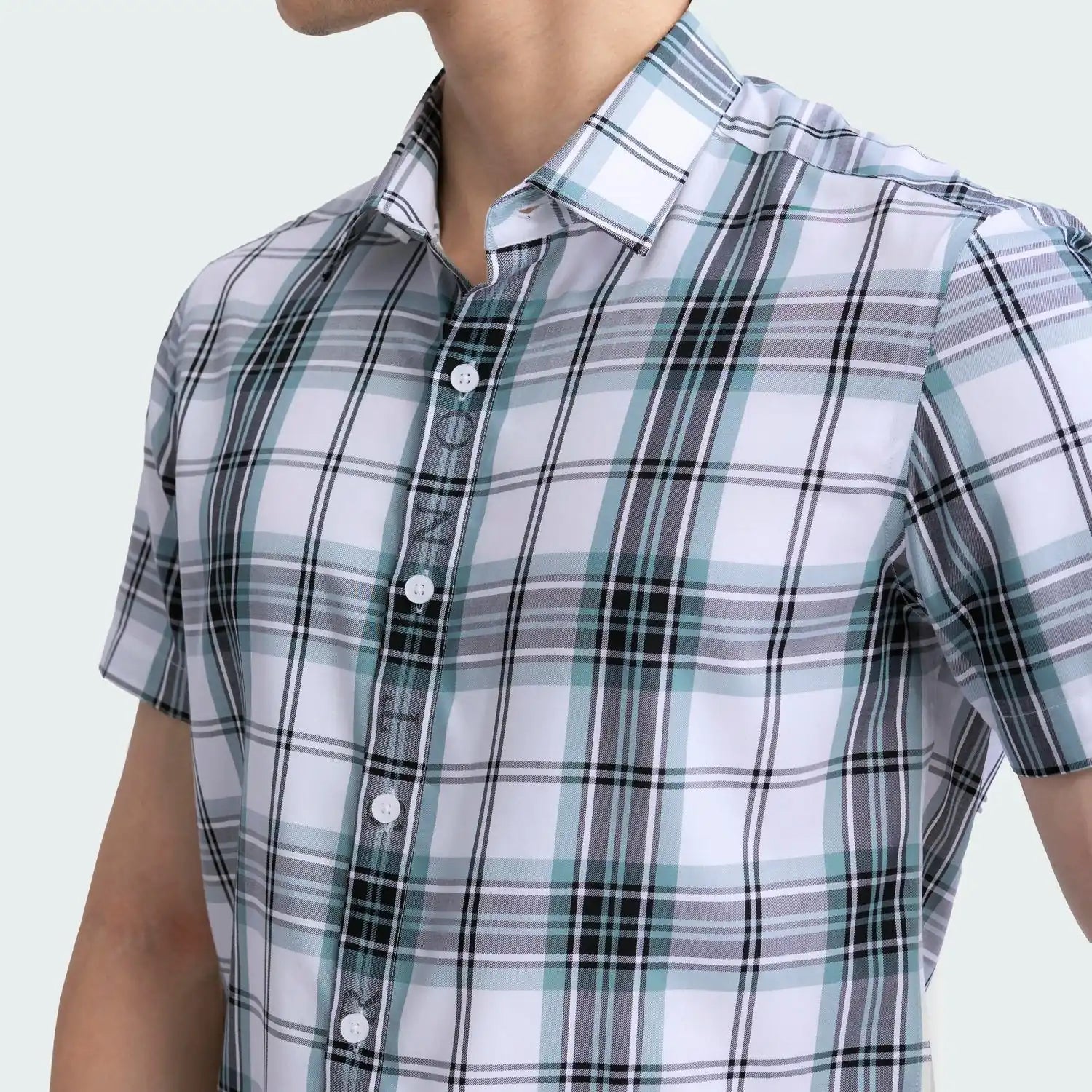 White striped Aristino